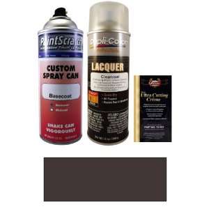   (Accent/Bumper) Spray Can Paint Kit for 1999 Dodge Dakota (S3X/R19