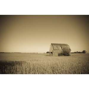 USA, Illinois, Old Route 66, Odell, Barn by Alan Copson, 96x144 