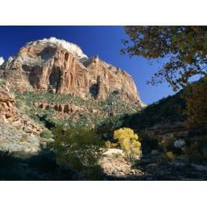  The East Temple from Pine Creek in Autumn, Zion National 