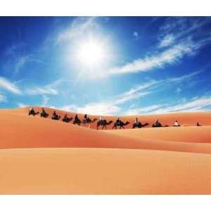 Caravan in Sahara Desert   Peel and Stick Wall Decal by Wallmonkeys 