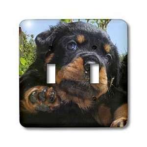   rotties, rottie owner, rottweiler puppy   Light Switch Covers   double