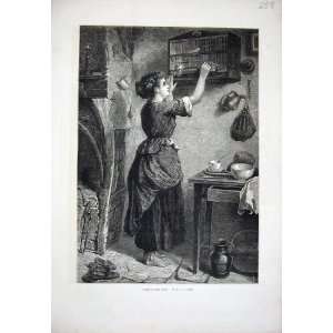  1876 Barefoot Woman Lady Feeding Pets House Fine Art