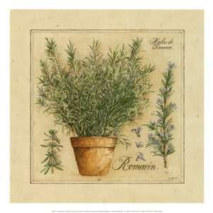  Herbes de Provence, Romarin by David Laurence 13x13 