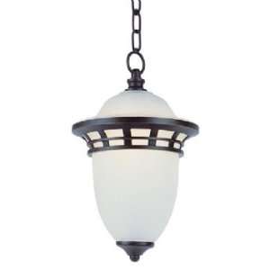  1 Light Hanging Lantern by Trans Globe Lighting   Energy 