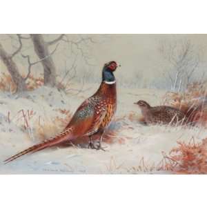 Hand Made Oil Reproduction   Archibald Thorburn   24 x 24 inches 