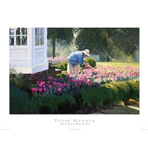    Tulip Garden by Anthony Watkins 5 X 7 Poster