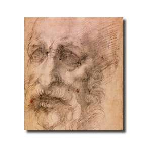  Portrait Of A Bearded Man for Verso See 191768 Giclee 