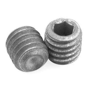Zinc Plated Steel Hex Socket Set Screws with Cup Point, Silver #5/16 