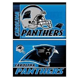    Carolina Panthers Set of 2 Magnets *SALE*