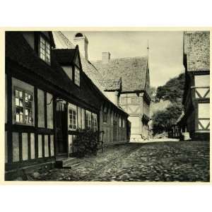  Jutland Peninsula Historic Image   Original Halftone Print Home