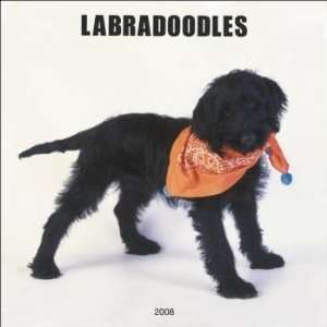  Labradoodles 2008 Wall Calendar