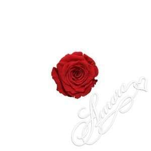  19 Inch Freeze Dried Red Rose Preserved Natural Wedding 