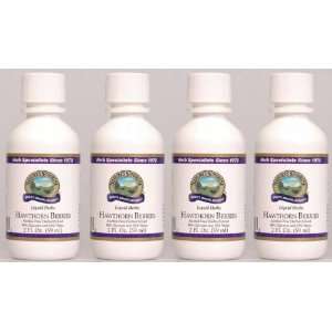   System Support Alcohol Free Herbal Extract 2 fl.oz (Pack of 4) Health