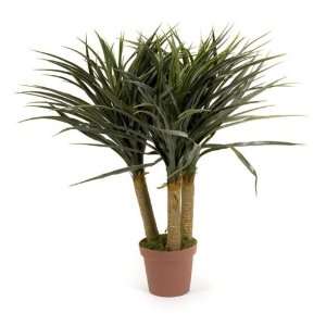  Yucca Tree Patio, Lawn & Garden