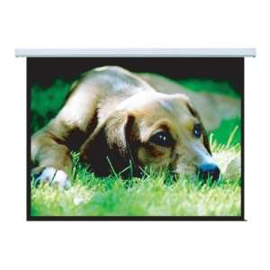  Electric Projection Screen (100 inch, 43) Everything 