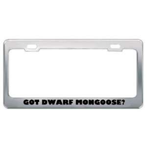  Got Dwarf Mongoose? Animals Pets Metal License Plate Frame 