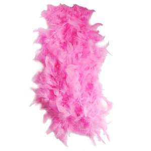 My Princess Academy / Feather Boa, Bright Pink  Toys & Games   