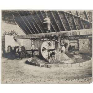  Reprint Old Chilean Mill. undated