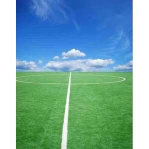  Football Grass Background in Light and Shadow   Peel and 