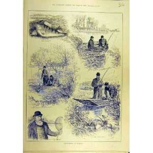  1882 Perch Fishing Hampton Fish Fishermen Sport Print 