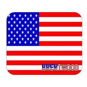  US Flag   Brentwood, New York (NY) Mouse Pad Everything 