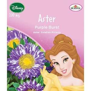   Disney Princess, Aster, Purple Burst 1 Pkt.