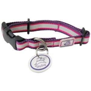  Olly Dog Nightlife II Reflective Collar Eggplant/Fuchsia 