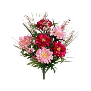  20 Zinnia/Bell Flower Bush x12 Beauty Pink (Pack of 12 