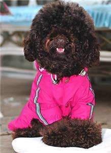 Pet Clothing Dog Raincoat Heavy Duty Rain Coats For Small Dogs 
