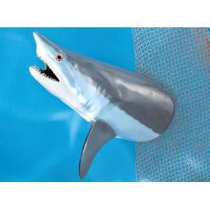  Land & Sea 36 Giant Mako Shark Wall Plaque Sports 