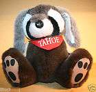 LAKE TAHOE MASCOT BEARGLESQUOONIT PLUSH RACOON BEAR BUNNY EAGLE RARE 