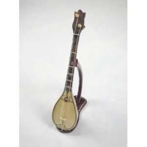  Uyghur Lute Xinjiang Handcraft Dombura +Case+Stand 30cm 