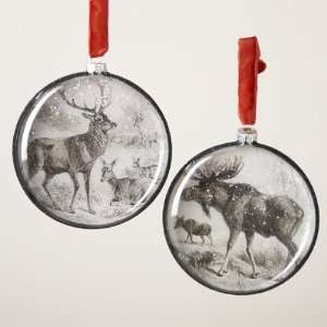  Club Pack of 12 Moose and Deer Class Disc Christmas 