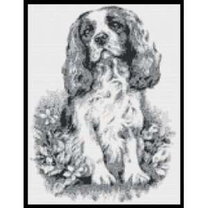  Cavalier King Charles BW Dog Counted Cross Stitch Kit 