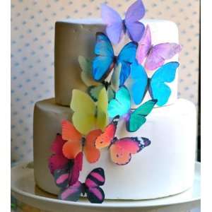 Butterflies ©  Large Rainbow Variety Set of 12   Cake and Cupcake 