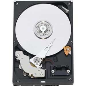  NEW 80GB PATA HDD 7200 RPM (WD800AAJB)