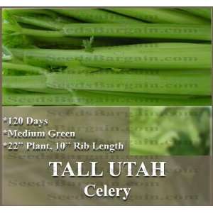   grown in moderate temperatures smooth, thick Patio, Lawn & Garden