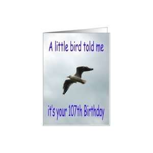  Happy 107th Birthday Flying Seagull bird Card Toys 