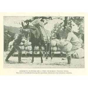  1911 Army Mule Train Military Academy West Point 