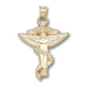 Chiropractic Caduceus Charm/Pendant 