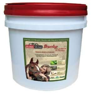  Horse Supplements   Complete Natural   Organic Equine Supplements 