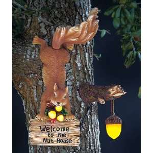  Squirrel Tree Mount Welcome To The Nut House, Solar 