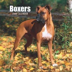 com Boxers (International) 2008 Square Wall Calendar (German, French 