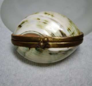 Vintage Sea Shell & Brass Hinged Trinket Pill Snuff Box  