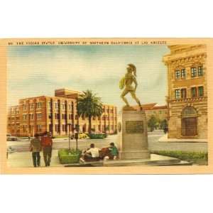  1950s Vintage Postcard The Trojan Statue   University of 