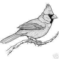RUBBER STAMP   BIRD   CARDINAL ON BRANCH   LARGE  