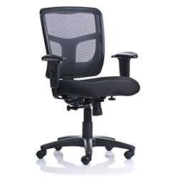 Ergo Value Mesh Medium Back Task Chair  