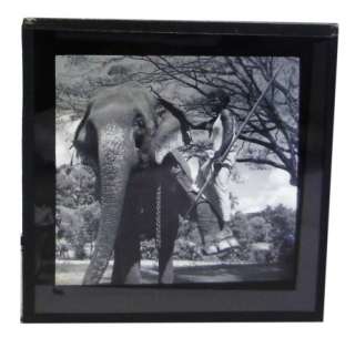 1947 Award Winning Photographer   CEYLON   SET OF 99 GLASS LANTERN 