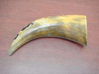 You will get similar as this picture. Not all horn in same size or 