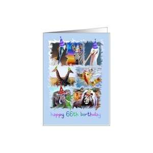  Colorful 66th Birthday Zoo Animals Card Toys & Games